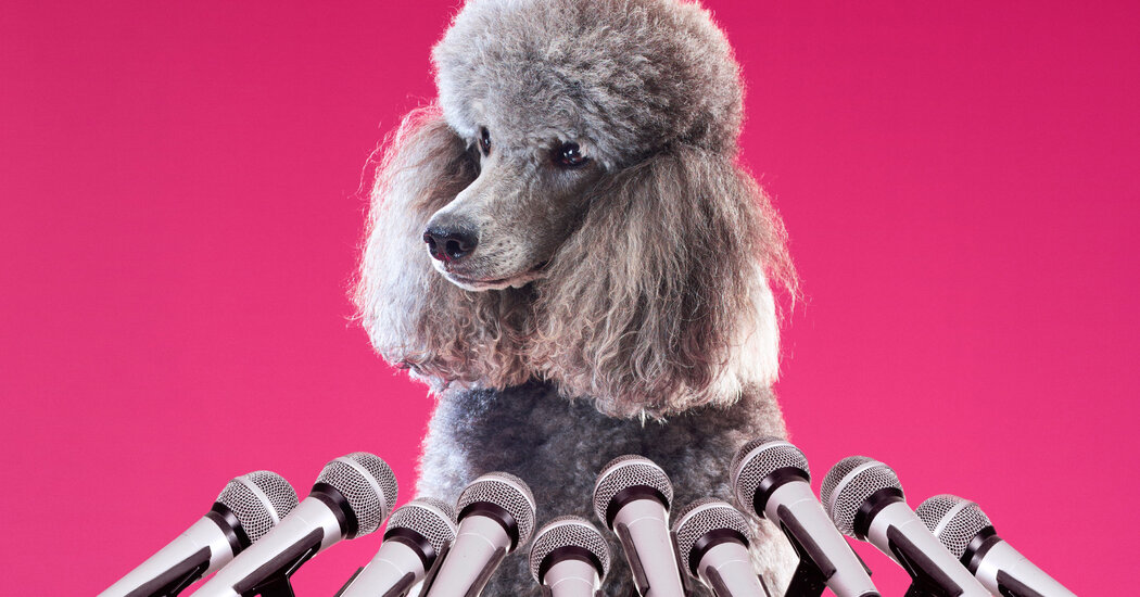 Dog and Microphones - The New York Times